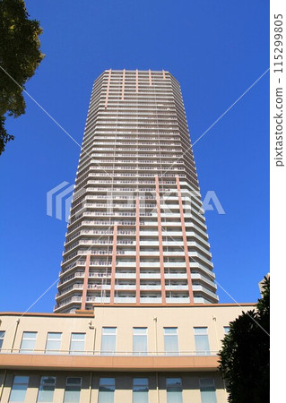 阿波座地區的高層公寓 115299805