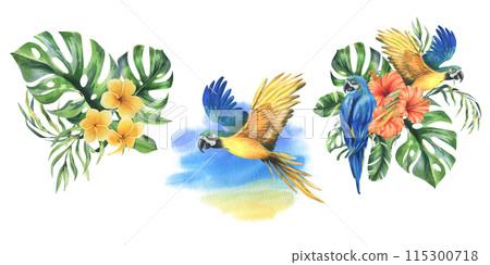 Tropical palm leaves, monstera and flowers of plumeria, hibiscus, bright juicy with blue-yellow macaw parrot. Hand drawn watercolor botanical illustration. Set of elements isolated from background Tropical palm leaves, monstera and flowers of plumeria, hibiscus, bright juicy with blue-yellow macaw parrot. Hand drawn watercolor botanical illustration. Set of elements isolated from background 115300718