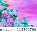Vivid purple and blue hydrangeas blooming against the sunset sky 115300799