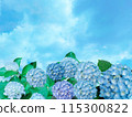 Pale blue hydrangea and blue sky 115300822