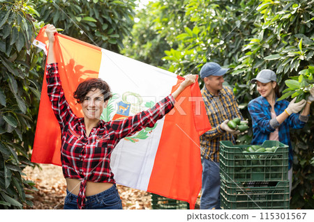 Girl football fan waving Peruvian flag during avocado harvest 115301567