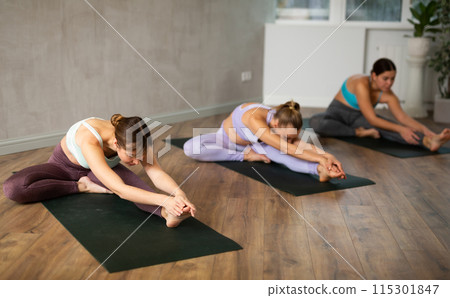Active women perform a stretching exercise in a pose Janu Shirshasana 115301847