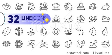 Outline set of Fishing, Leaf and Rainy weather line icons for web with Coffee beans, Oil drop, Mineral oil thin icon. Salad, Eco energy, Fish pictogram icon. Sea mountains, Sunny weather. Vector Outline set of Fishing, Leaf and Rainy weather line icons for web with Coffee beans, Oil drop, Mineral oil thin icon. Salad, Eco energy, Fish pictogram icon. Sea mountains, Sunny weather. Vector 115301933