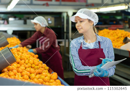 Female shift supervisor with papers inspecting mandarins sorting line Female shift supervisor with papers inspecting mandarins sorting line 115302645