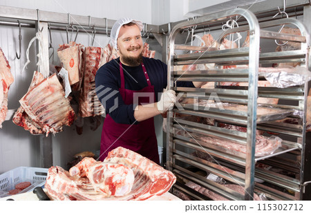 Portrait of male butcher while working in a butcher shop - moving trays with chopped carcasses Portrait of male butcher while working in a butcher shop - moving trays with chopped carcasses 115302712