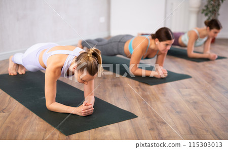 Yoga class of active young women standing in Dolphin Plank Pose or Makara Adho Mukha asana during training in gym studio 115303013