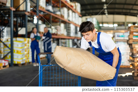 Young guy loading bags on cart in warehouse 115303537