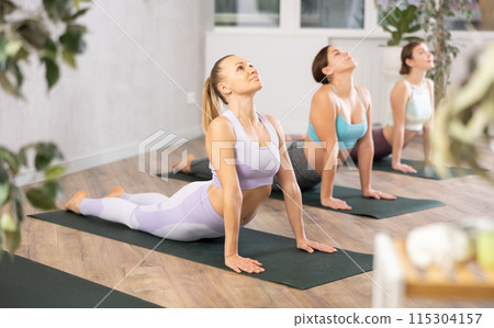 Motivated young women bending in back while lying on stomach in Bhujangasana Cobra Stretch position in yoga studio Motivated young women bending in back while lying on stomach in Bhujangasana Cobra Stretch position in yoga studio 115304157