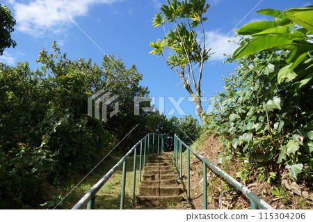 Stone Staircase with metal railings up to the top of lookout point 115304206