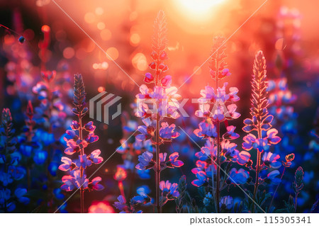 Sophisticated Still Life: Detailed Product Shot with Subtle Hues 115305341