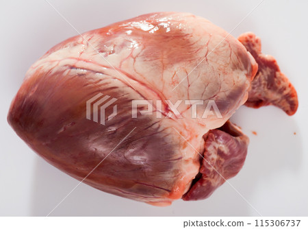 Raw pig heart Raw pig heart 115306737
