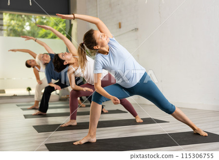 Young woman maintaining mental and physical health attending group yoga class, practicing stretching poses 115306755