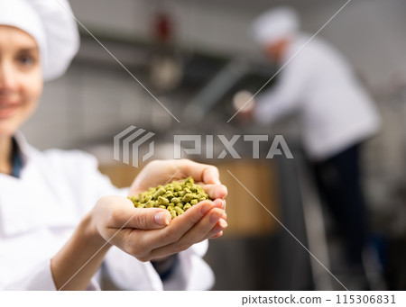 Handful of granulated hops in hands of female brewmaster Handful of granulated hops in hands of female brewmaster 115306831
