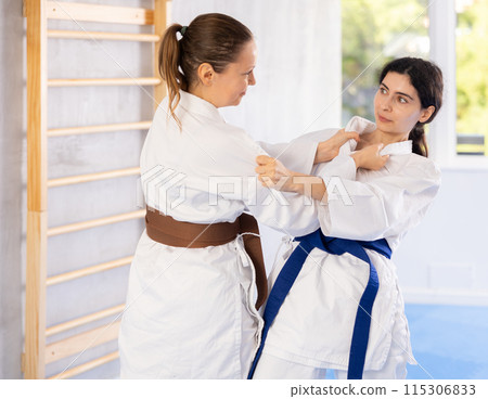 Karate practitioners showcase their techniques 115306833