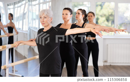 Group of women practicing at ballet barre 115306858