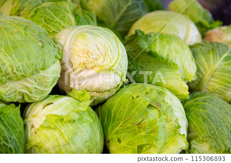 Bunch of heads of fresh green cabbage close up Bunch of heads of fresh green cabbage close up 115306893