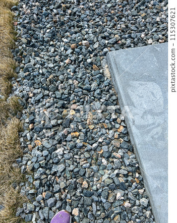 An early spring scene featuring a yard with patchy, dry grass bordered by gravel and concrete pavement. The image captures the transitional phase of lawn recovery after winter. 115307621