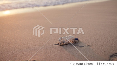 Beach, plastic bottle and pollution in environment for recycling volunteering, climate change or waste management. Garbage, ocean and community service for global litter, earth day or sustainability Beach, plastic bottle and pollution in environment for recycling volunteering, climate change or waste management. Garbage, ocean and community service for global litter, earth day or sustainability 115307705