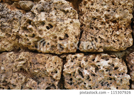 Coral rock wall Coral rock wall 115307926