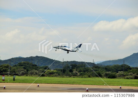 Air Self Defense Force Blue Impulse 115307986