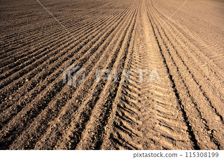 Plowed agricultural field with even rows and tractor track 115308199