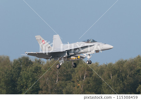 Swiss Air Force F/A-18C Hornet landing 115308459
