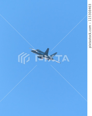 Swiss Air Force F/A-18C Hornet soars 115308463