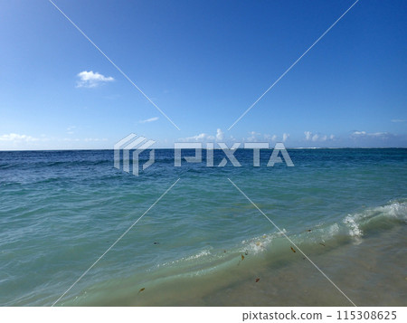 Calm water of the pacific ocean on the shore of Kahala Beach as small wave full of leafs breaks 115308625