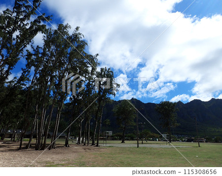 Old rusty Empty Outdoor Basketball Court next to irowood trees 115308656