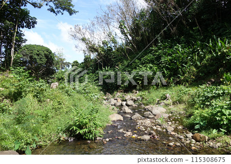 He'eia Stream 115308675