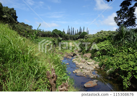 He'eia Stream 115308676