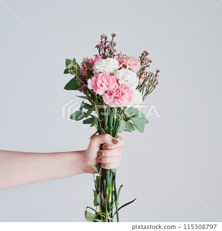 Woman, hand and pink bouquet for love with anniversary present, natural and sustainable product in studio. Leaves, girl fingers and holding carnation flowers for romance and gift by white background 115308797