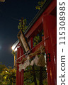 Torii at night 115308985