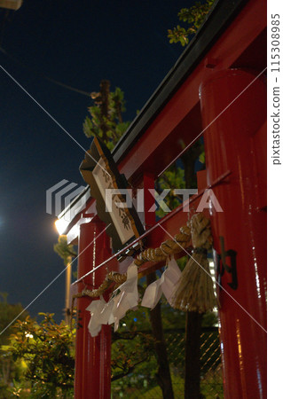 Torii at night Torii at night 115308985