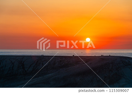 Sunset at Tottori Sand Dunes - Silhouette of a horse's back 115309007