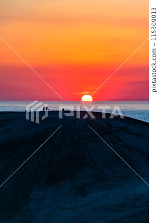Sunset at Tottori Sand Dunes - Silhouette of a horse's back 115309013