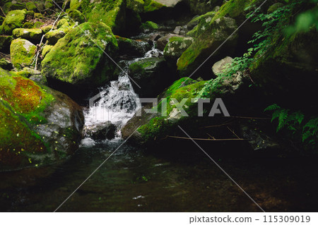 Clear stream 115309019