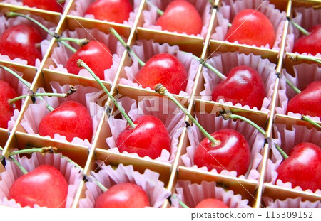 Lots of cherries Lots of cherries 115309152