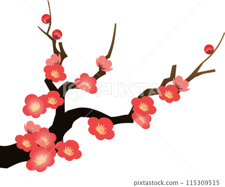盛開的梅花枝PNG插圖-插圖素材[115309515] - PIXTA圖庫