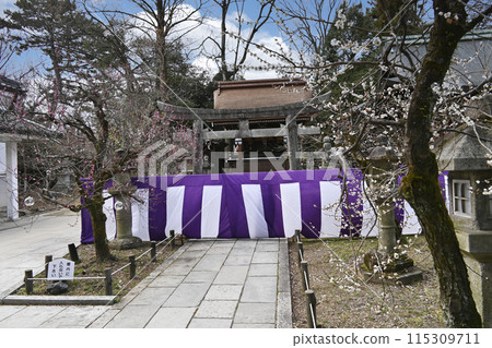 北野天滿宮梅花節 115309711
