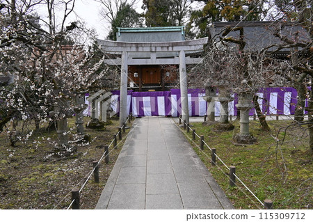 北野天滿宮梅花節 北野天滿宮梅花節 115309712