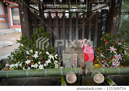 北野天滿宮梅花節 115309754