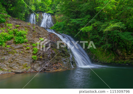 Fresh greenery at Yashio Falls Fresh greenery at Yashio Falls 115309796