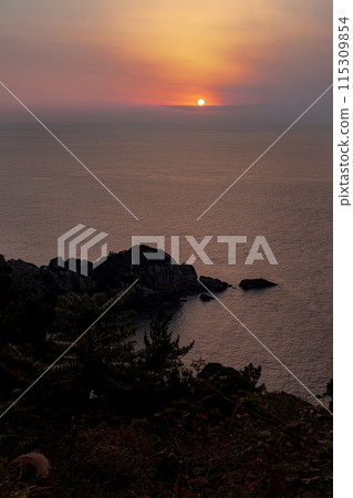 世界遺產屋久島西部林道地區的日落(冬季) 世界遺產屋久島西部林道地區的日落(冬季) 115309854