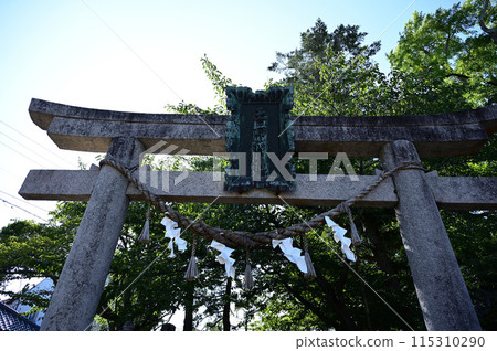 Tamama Shrine 115310290