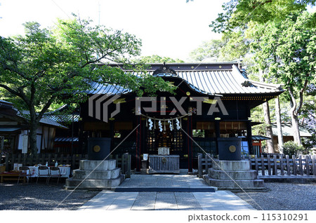 Tamama Shrine 115310291