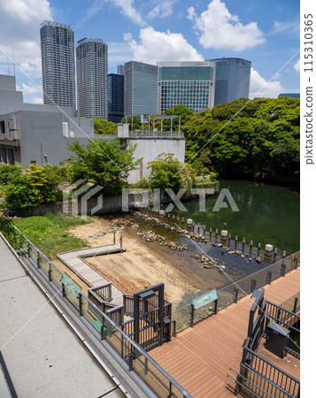 Waters Takeshiba建造的人工灘塗[Takeshiba Tidal Flat] 115310365