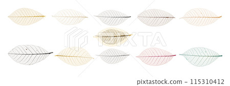A set of leafy designs with a variety of colors and patterns 115310412