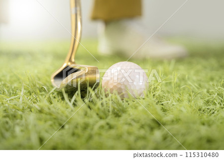 The golfer with a golf club and golf ball 115310480