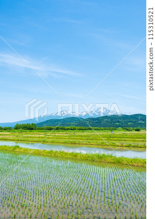 從坂田市眺望鳥海山 從坂田市眺望鳥海山 115310521